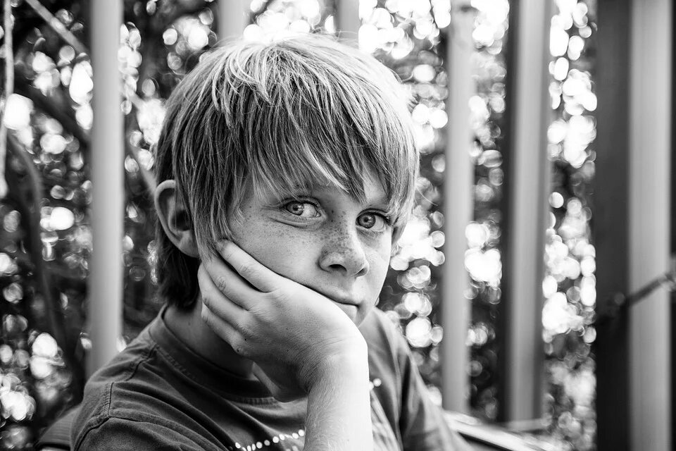 Фото: pixabay.com