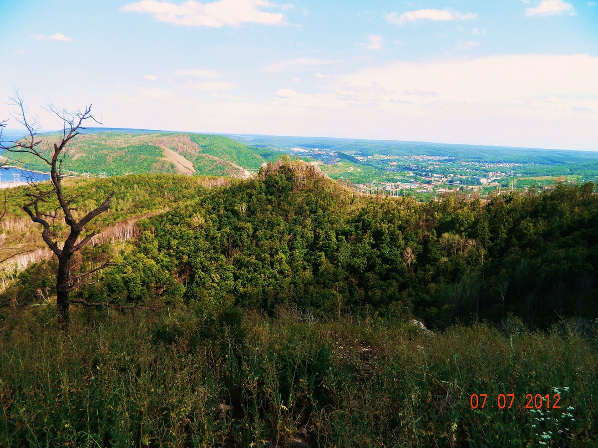 Гора шишка Самарская лука