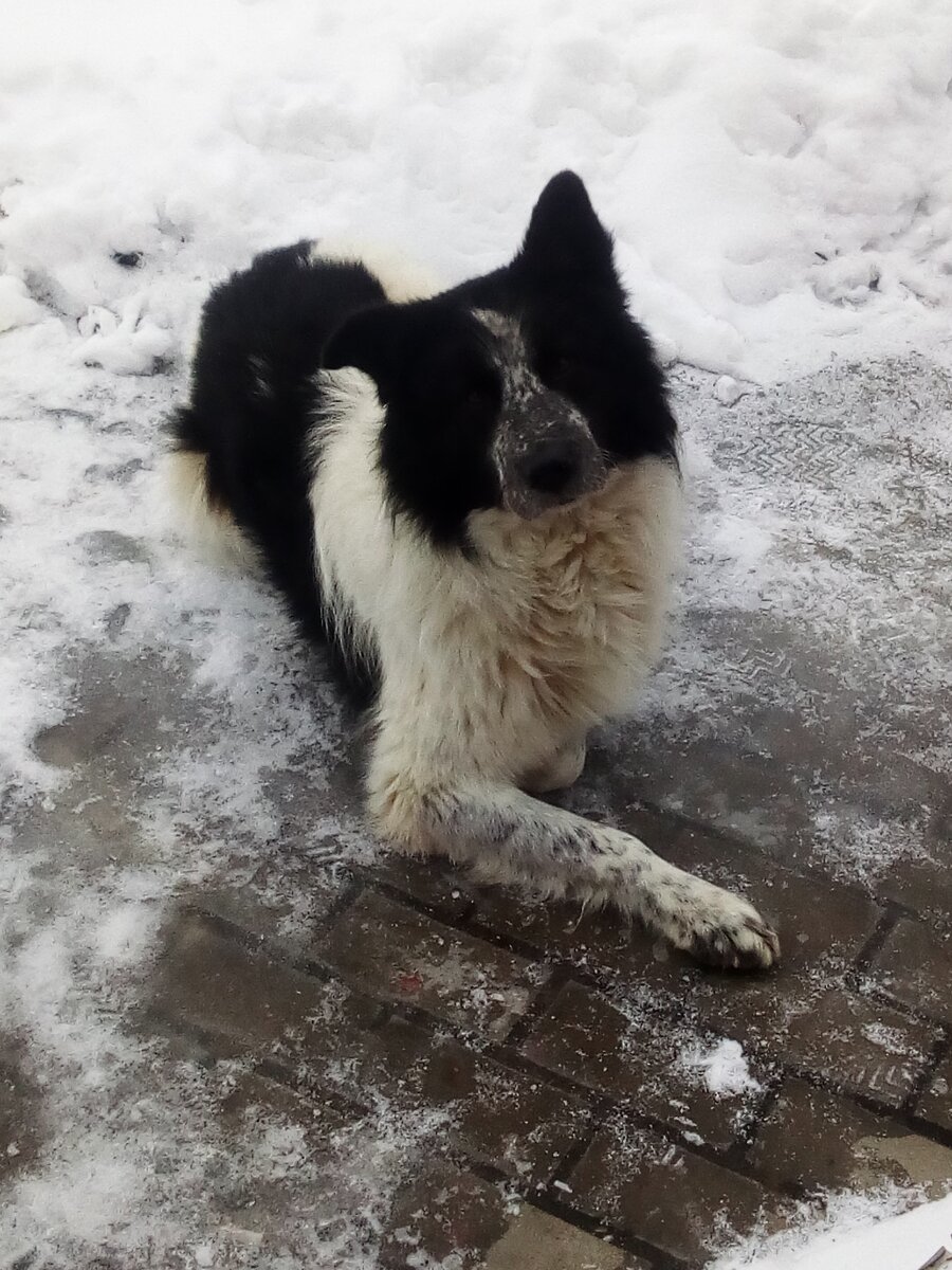 Таким Тёма пришел к нам