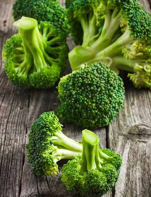 Фото из интернета: https://www.pinterest.ru/pin/747456869392576038/