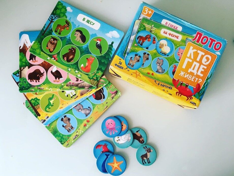 Instagram: @razvivashkipoli