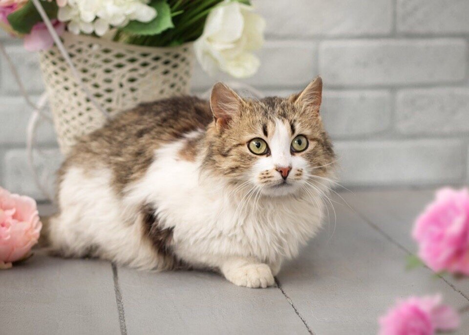 Листайте карусель.