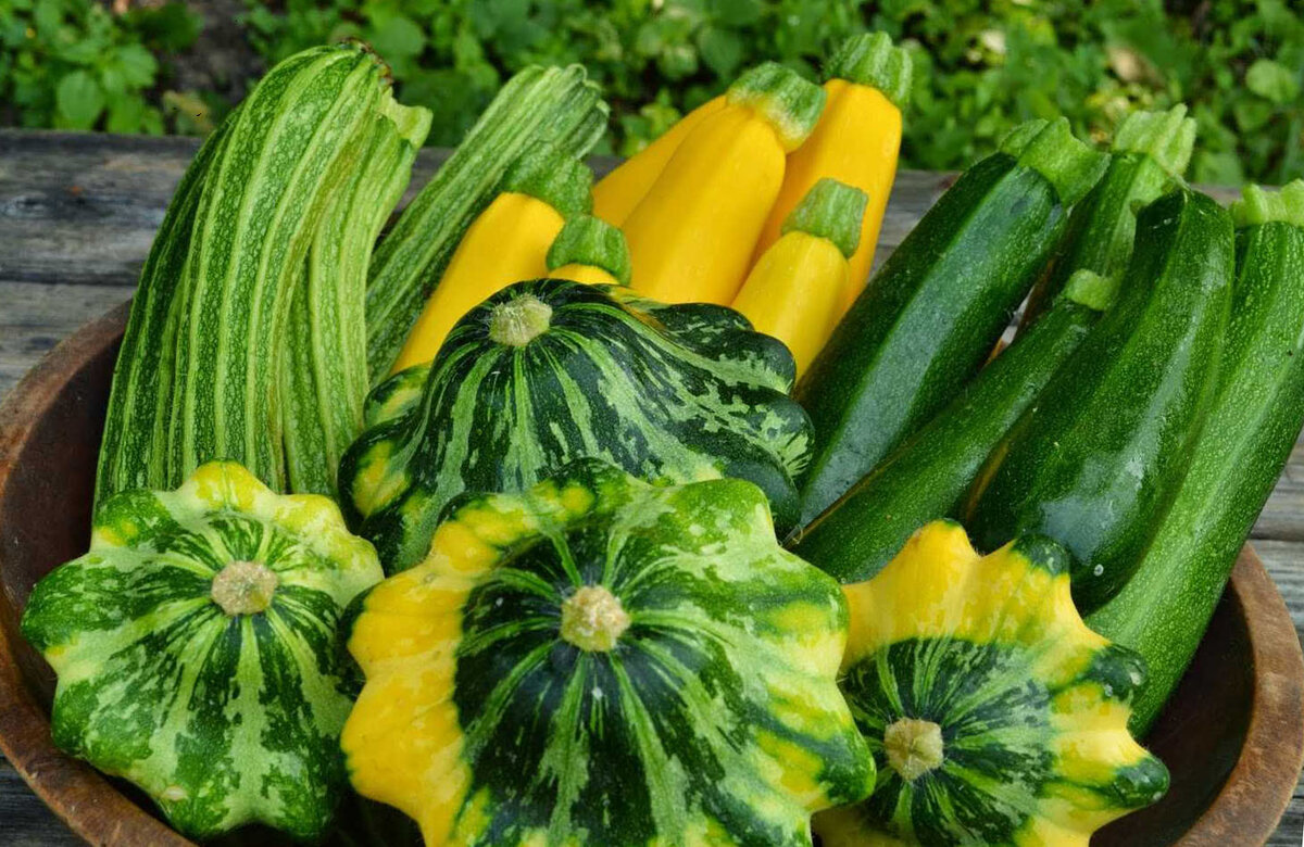 Красивые кабачки разных сортов