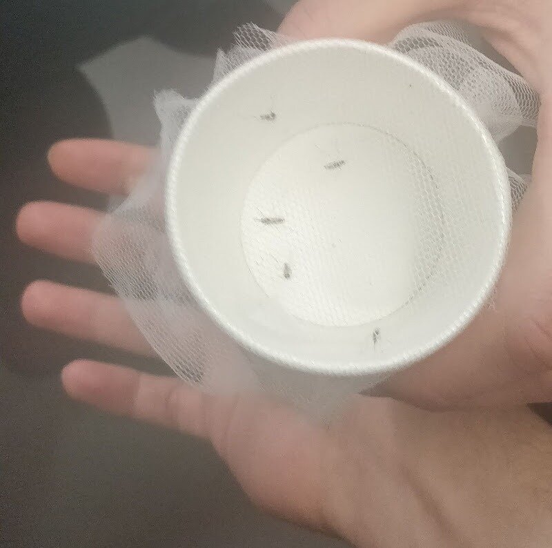 Фото: newochem.io 