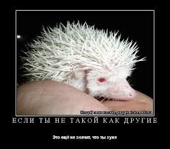 Источник Google картинки