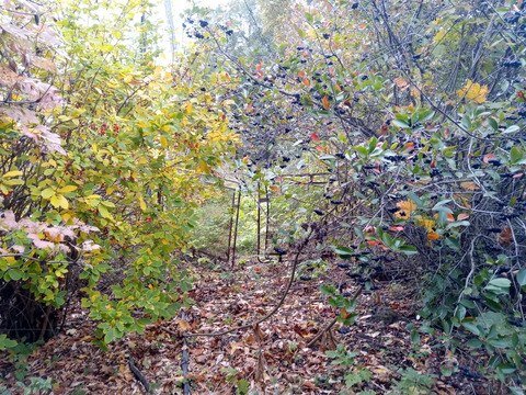 Подъезд на участок с двух сторон