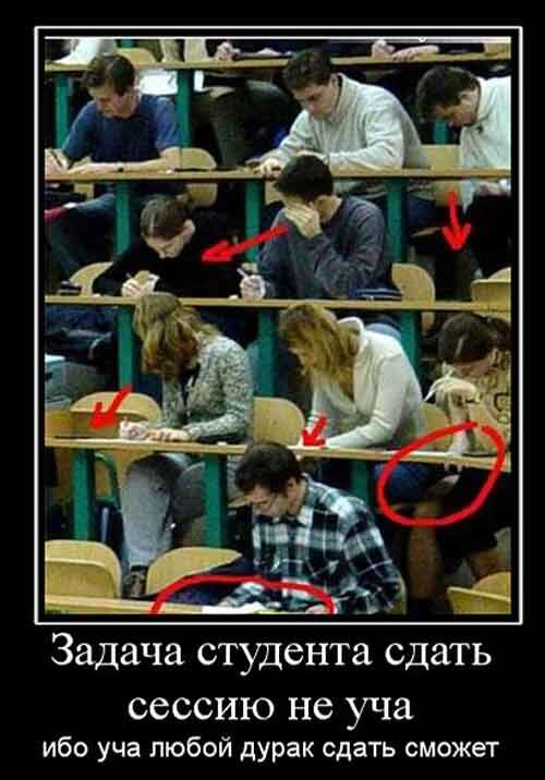Картинка 2