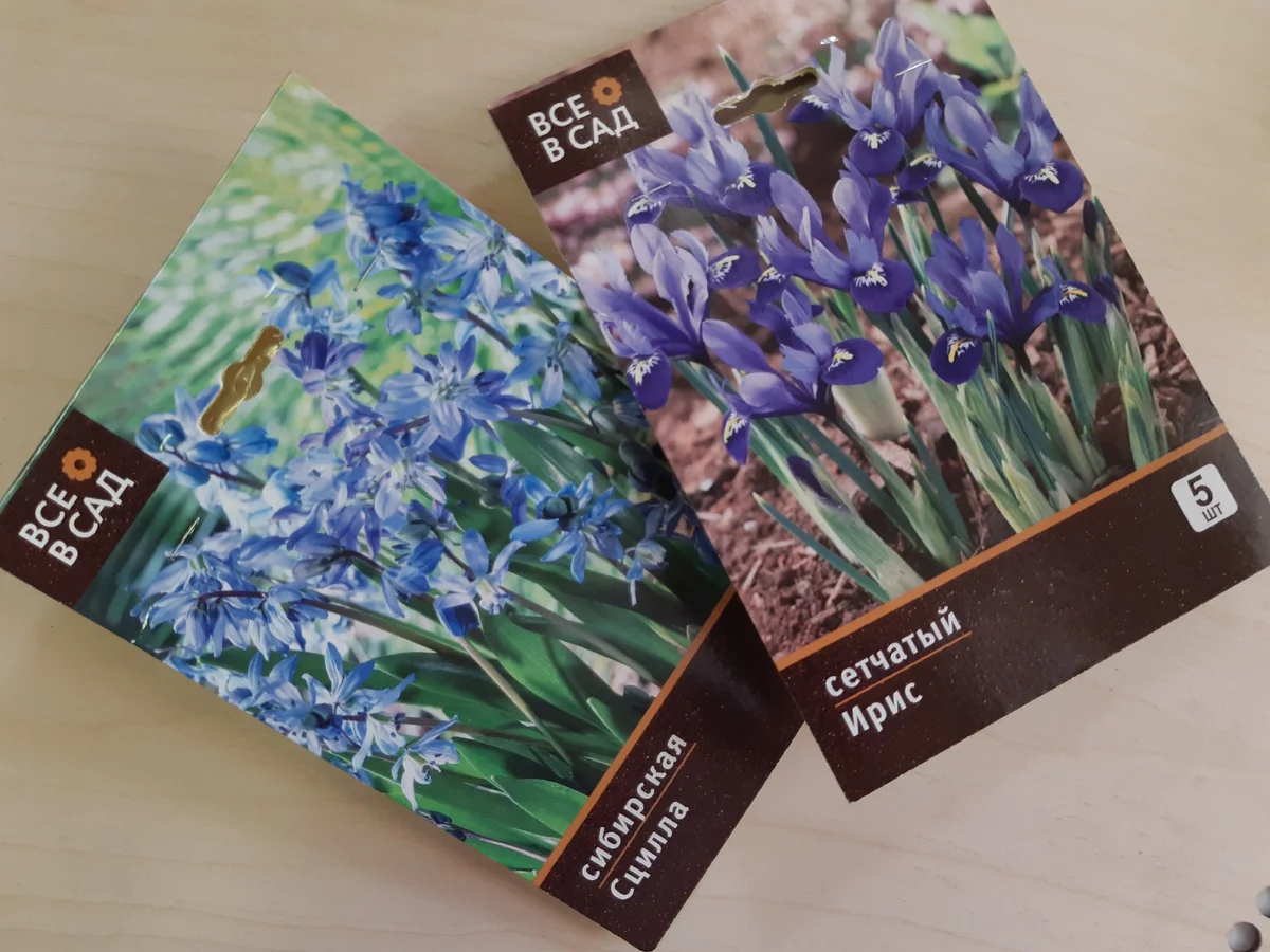 Фото: УСАДЬБУШКА