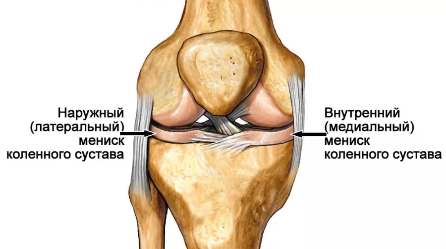 Изображение взято из Яндекс картинки