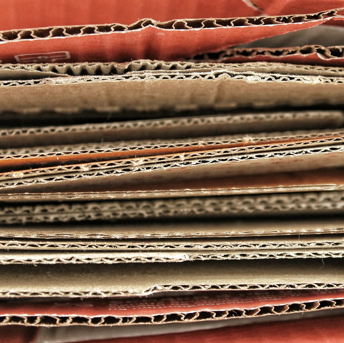 мы очень любим пиццу