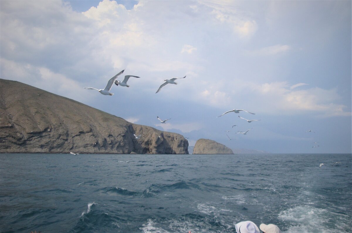 Предупреждаю, что не отвечаю на комментарии, которые содержат в себе открытое хамство и грубость. 