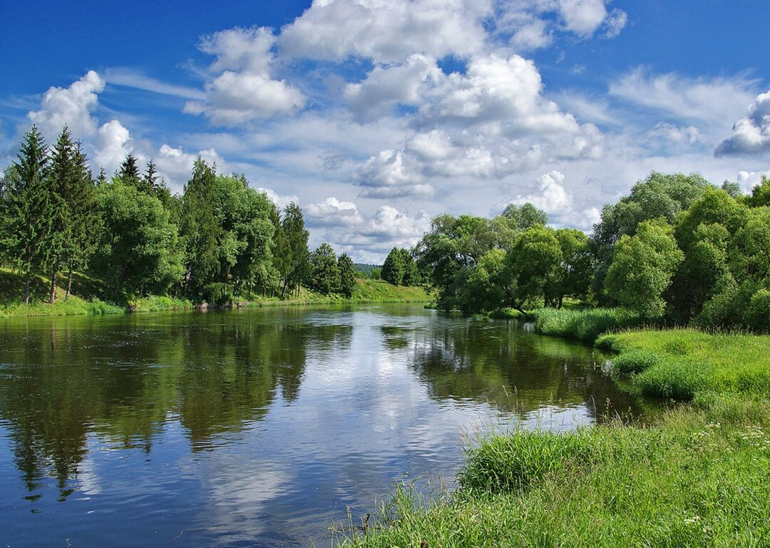 Реки города москвы. Москва река Можайск. Природа Можайского района. Можайский район Можайск природа. Река в Можайске.