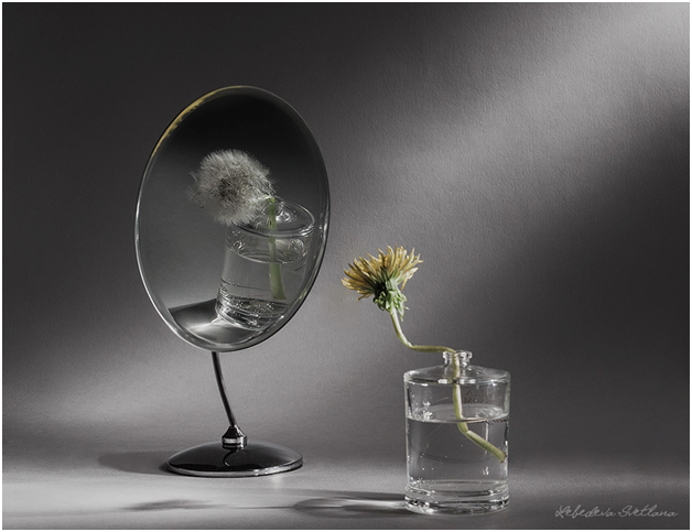 Фото взято из открытых источников