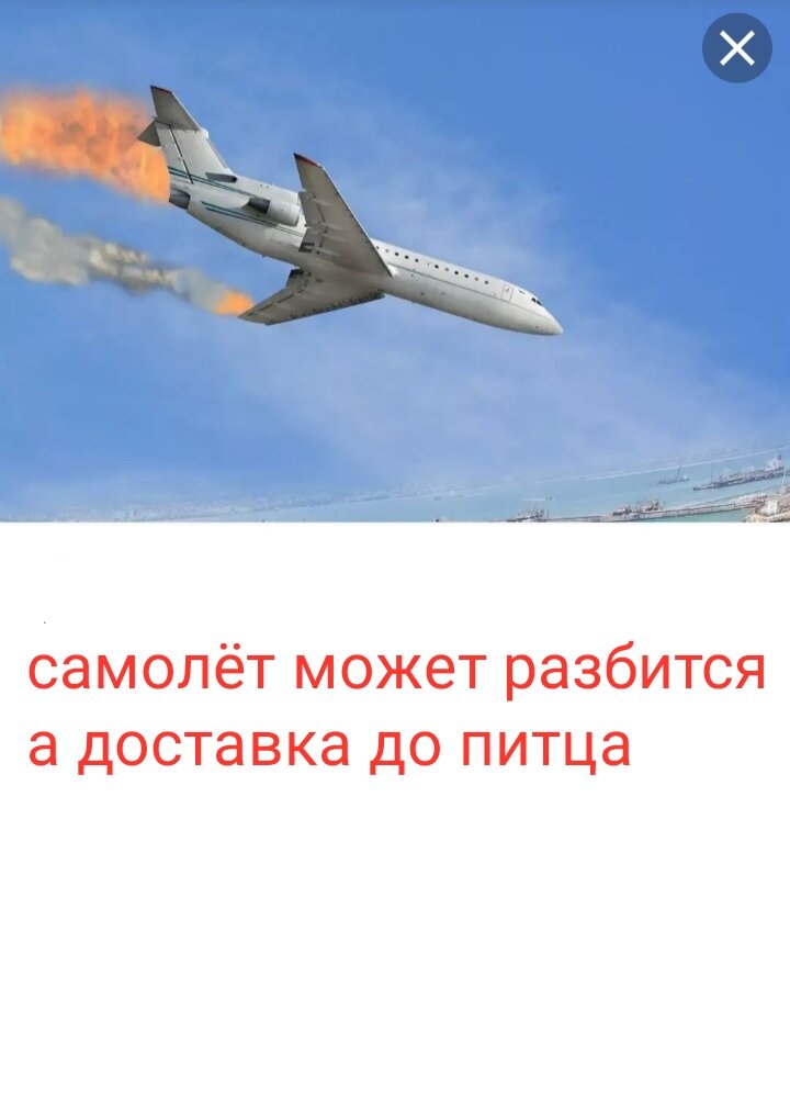 Самолёт подобен птице  