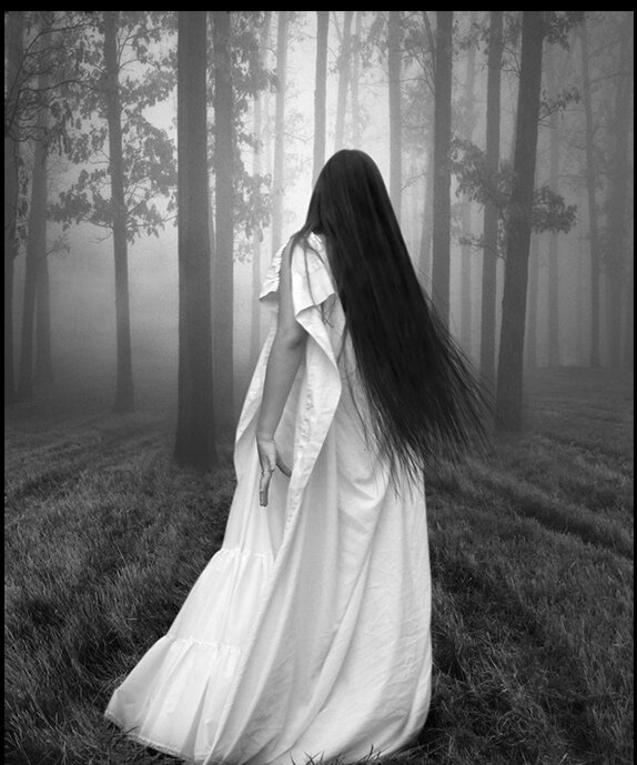 Изображение из открытых источников. 