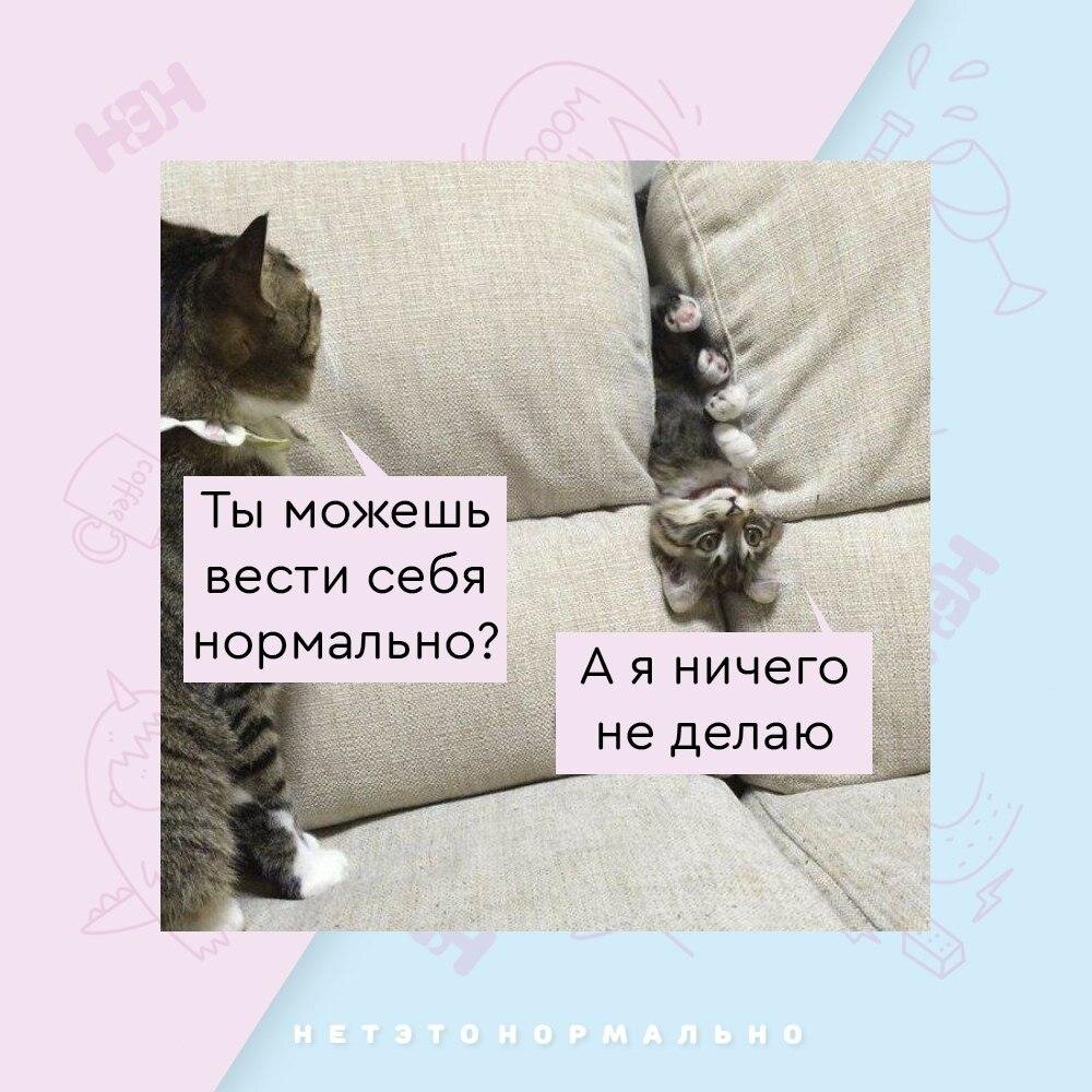 Нормально поняла. Нет, это нормально. Ты можешь быть нормальной. Ты можешь вести себя нормально. Веди себя нормально нет.