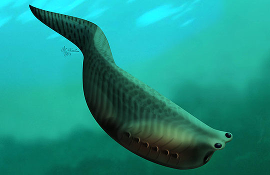 Сырок БЮ Александров, что с тобой стало... (by Marianne Collins)