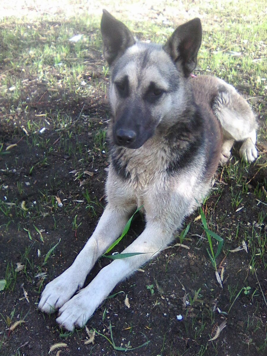 Дина, 21.05.2019 | Фото автора