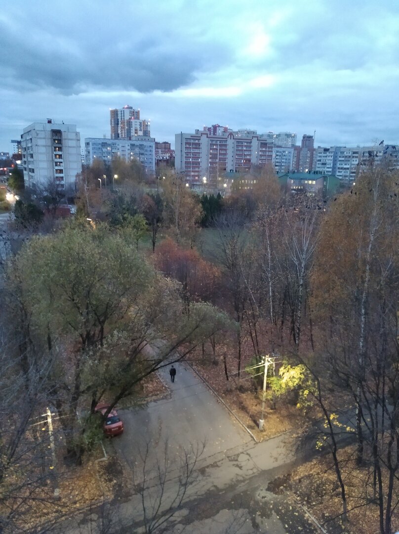 Фото автора. Такой видит он осень из окна больничной палаты.