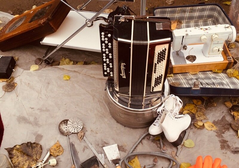 Баян с коньками)) Хорошее соседство