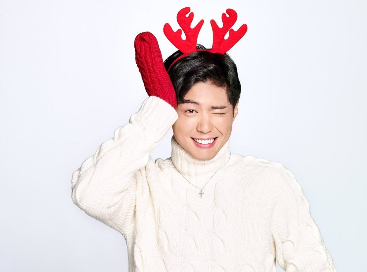 Новогодний Пак Бо Гом, фото по поиску Яндекса