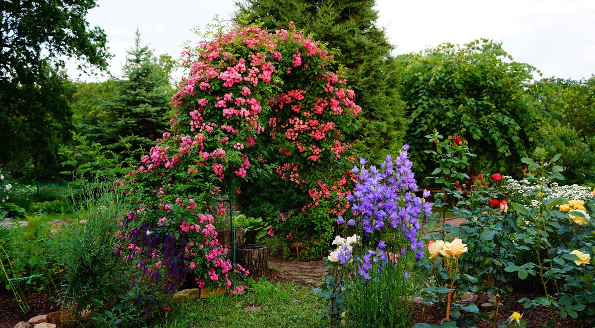 Миссис Ф.В.Флайт 