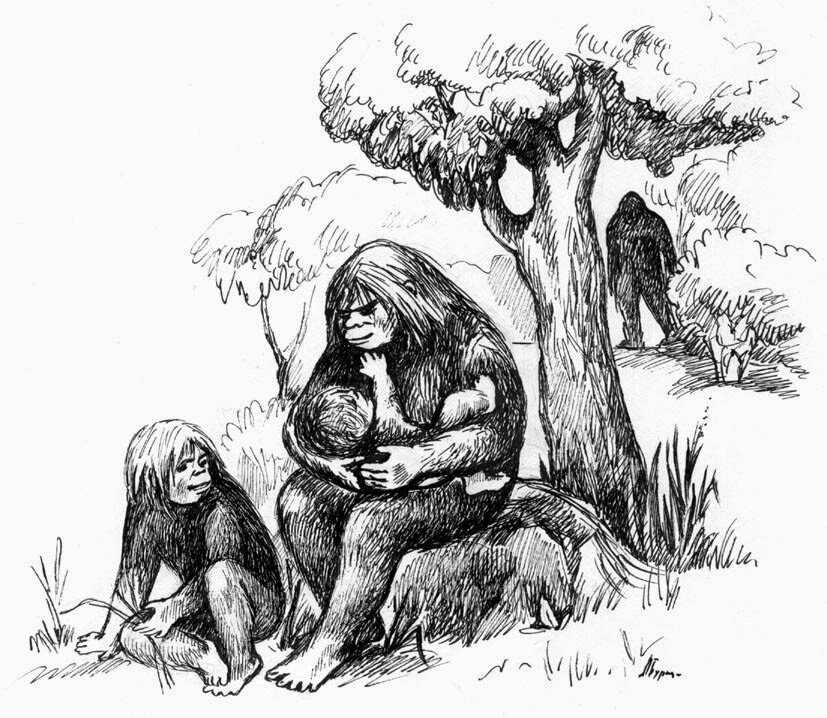 Рисунок из открытого источника. Семейство Йети.