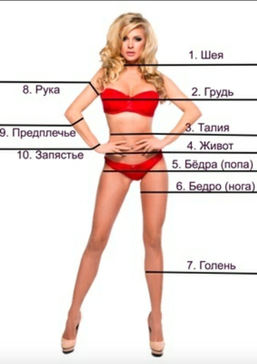 Как измерить талию, бедра, живот, голень, ноги и руки у женщины.
