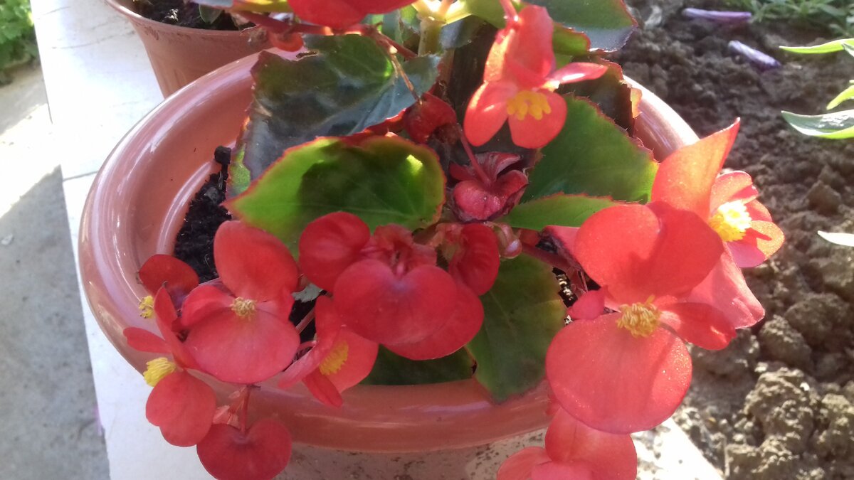 Фото из личного архива. Лето 2020 года