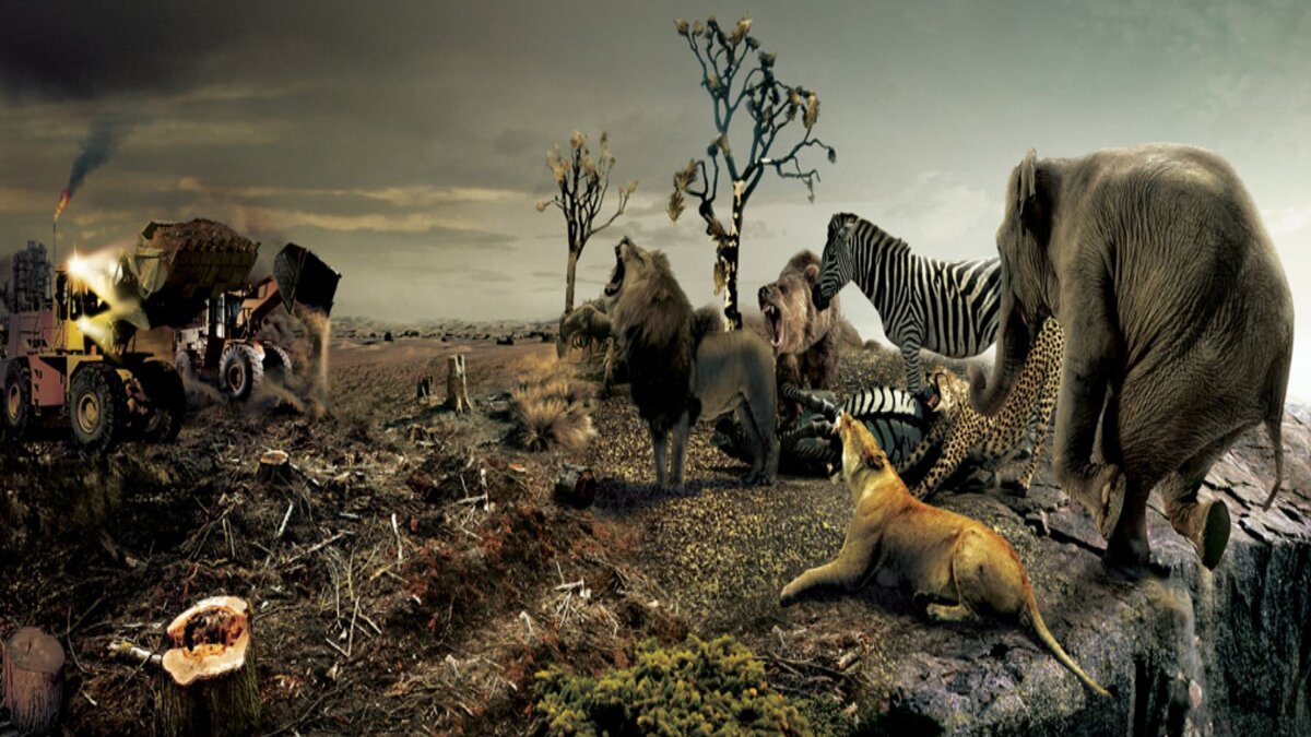 Глазами автора представлена картина, как человек вытесняет животный мир с планеты Земля. ( фотография взята из источника - https://nevsepic.com.ua/uploads/posts/2011-07/1310601168_zx-9_www.nevsepic.com.ua.jpg ).