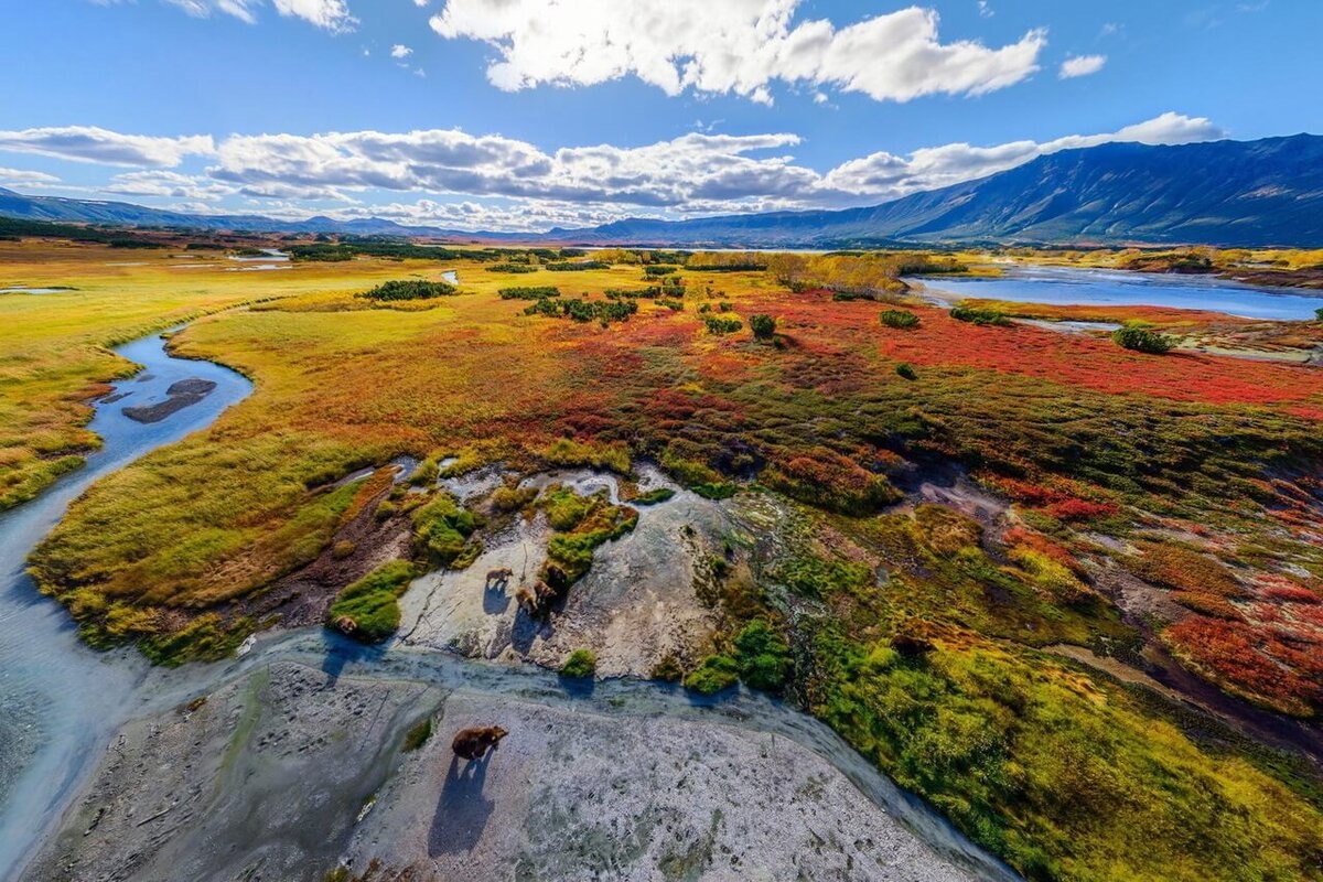 Источник фото: https://static.tildacdn.com/tild6538-6335-4037-b834-663961646230/originalW6LWe.jpg