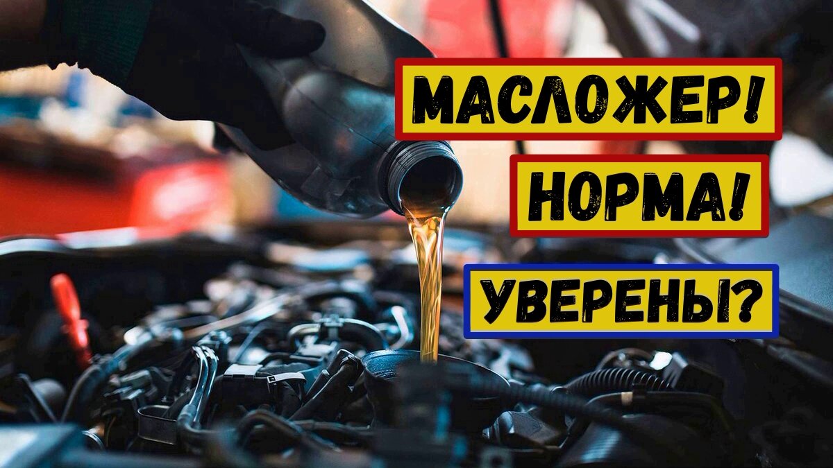 Масложор или Норма? Как понять?