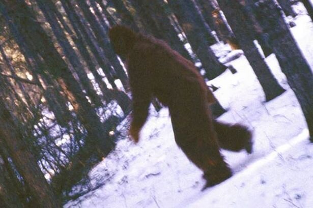 Фото из открытого источника.