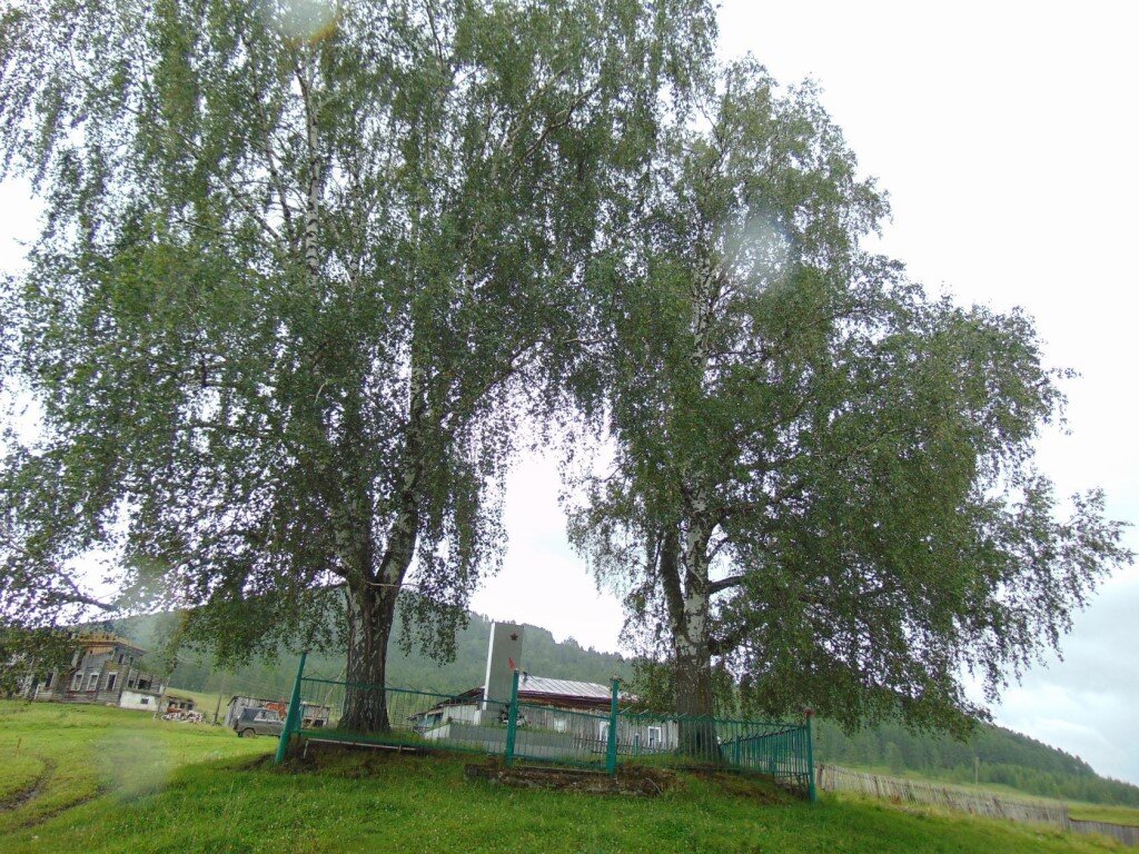 Обелиск на братской могиле участников Гражданской войны села Дёмино, Алтайского края. Здесь за памятником следят, так как ещё помнят героев защищавших родное село от карателей Колчака и белых банд. 