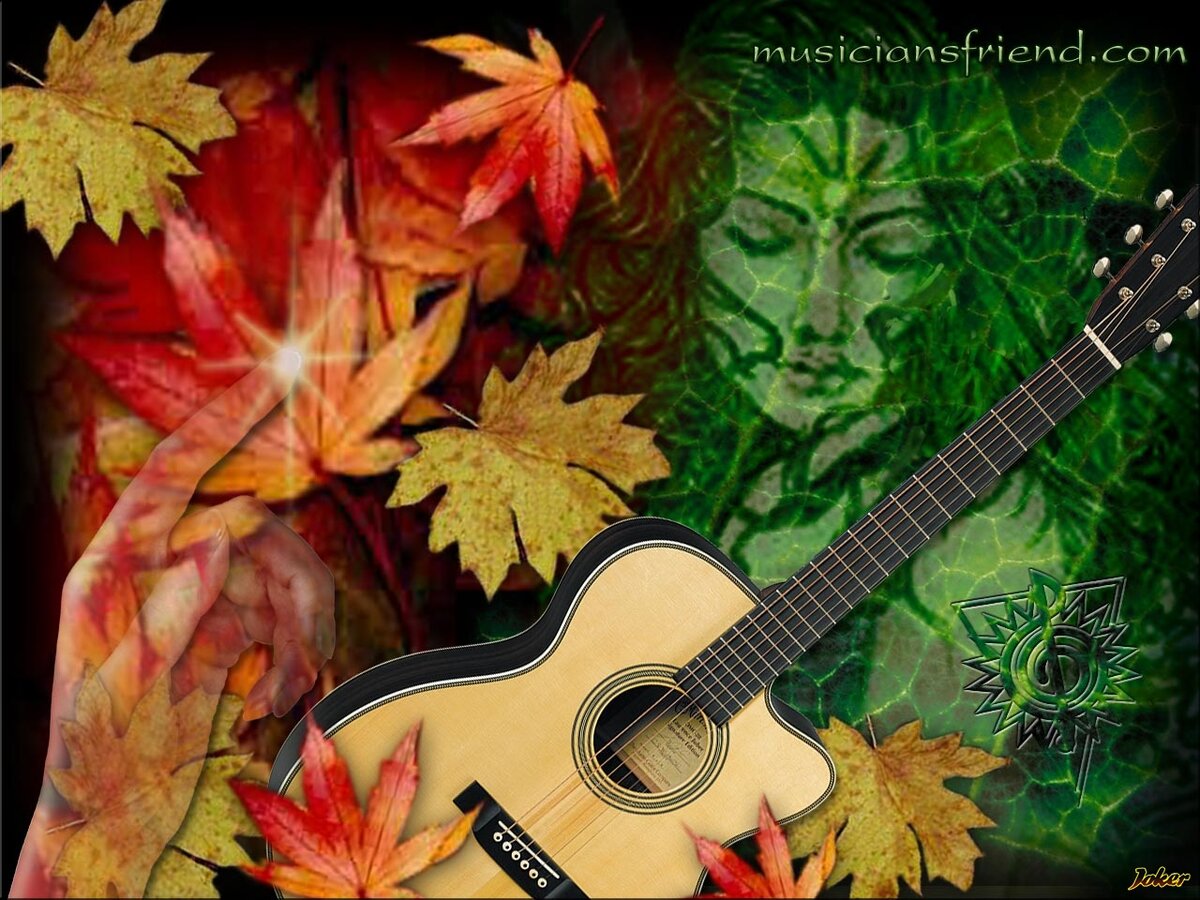 Осенняя мелодия любви содержание чем закончится. Осенний рок. Гитарист осень. Гитара в листве. Гитарист в осеннем парке.