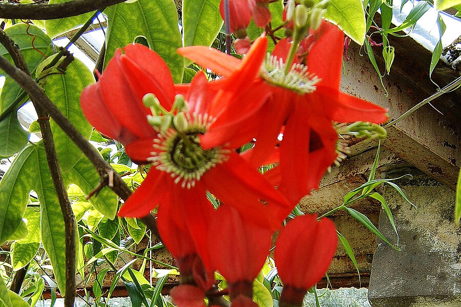 ФОТО «СПб ведомости»