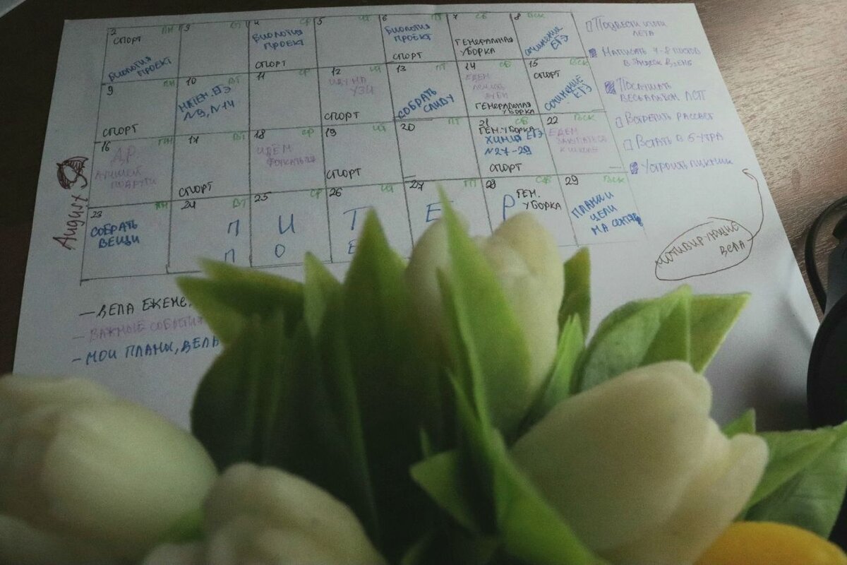 Календарь дел на август. Фото автора