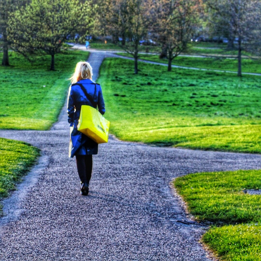 Перед нами много дорог. И какой из них идти, выбираем мы сами.   