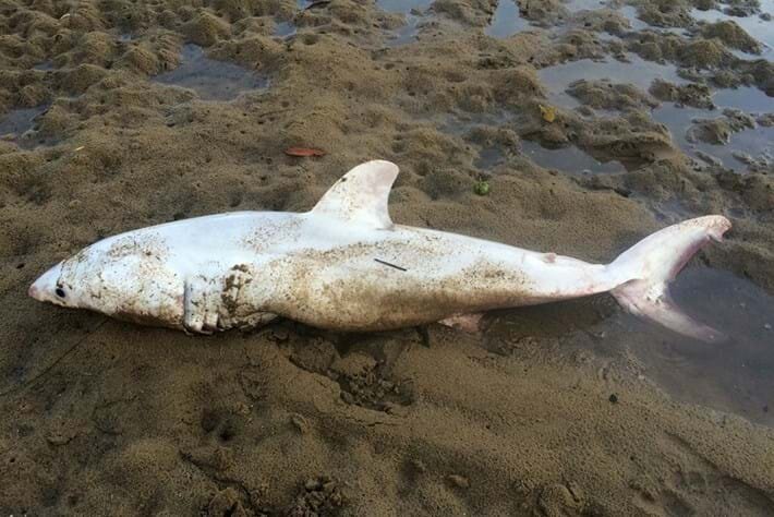 Источник: Facebook 