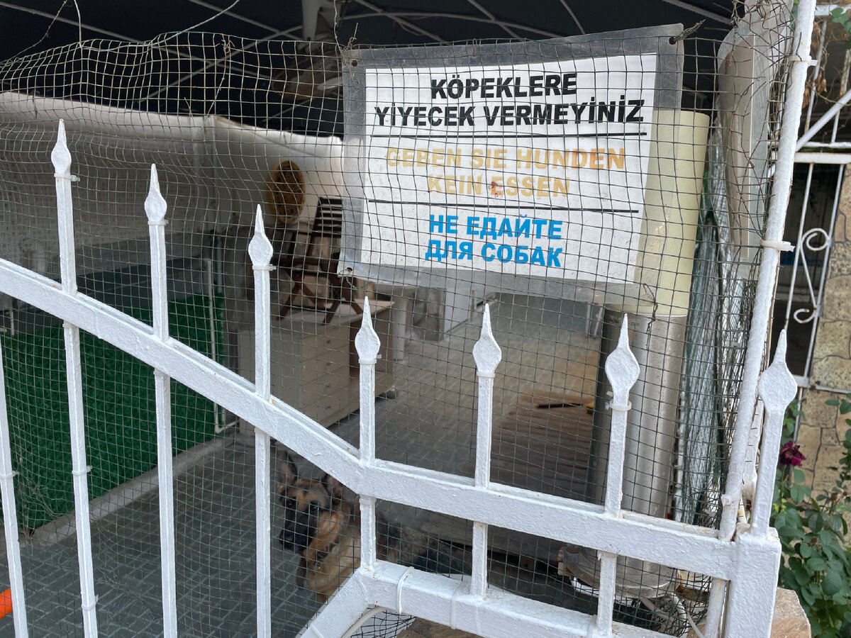 Не знаю, что написано по-турецки, но на русском очень понятно. (А внизу за забором овчарку видите?). Листайте влево