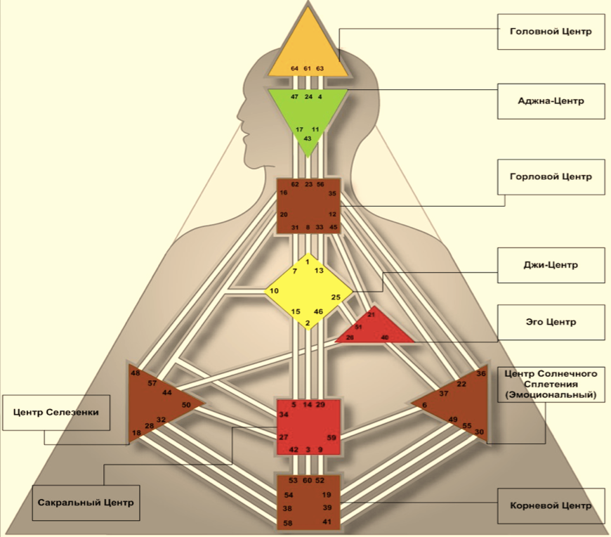 Дизайн человека (Human Design)