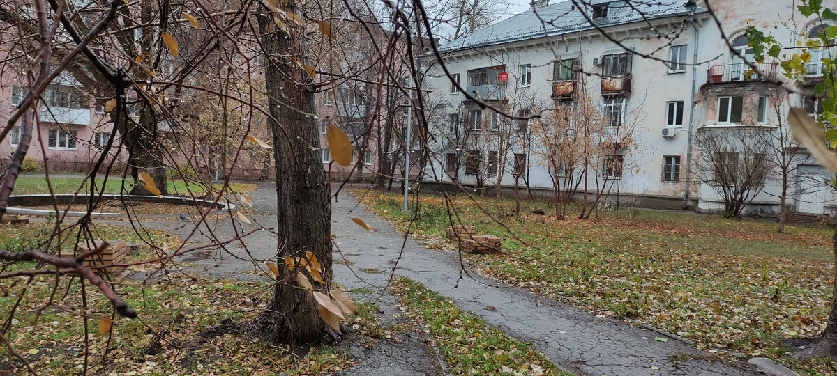 Осень, у многих людей обострение хронических заболеваний. Фото автора