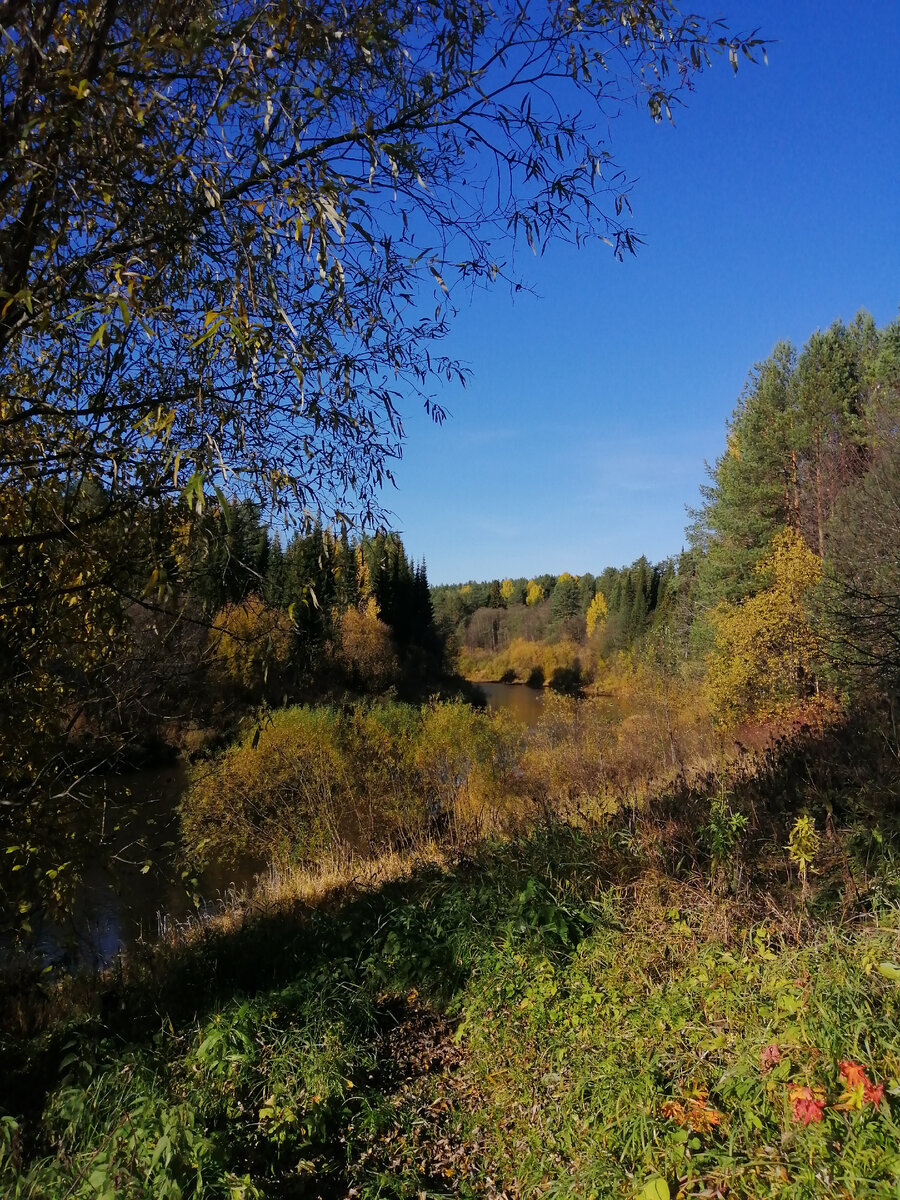 Великорецкое, река Великая