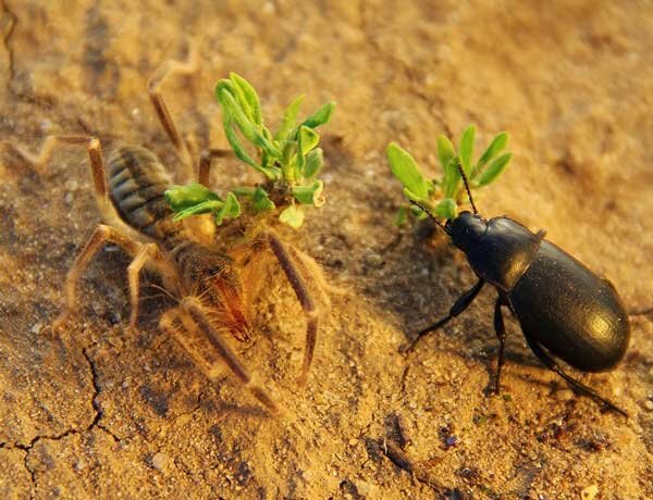 За секунду  до....