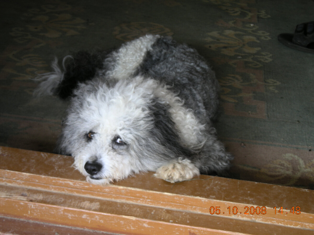 Фото автора