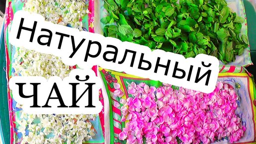 Иван-чай: от запрещенного продукта до перспективного экспортного направления