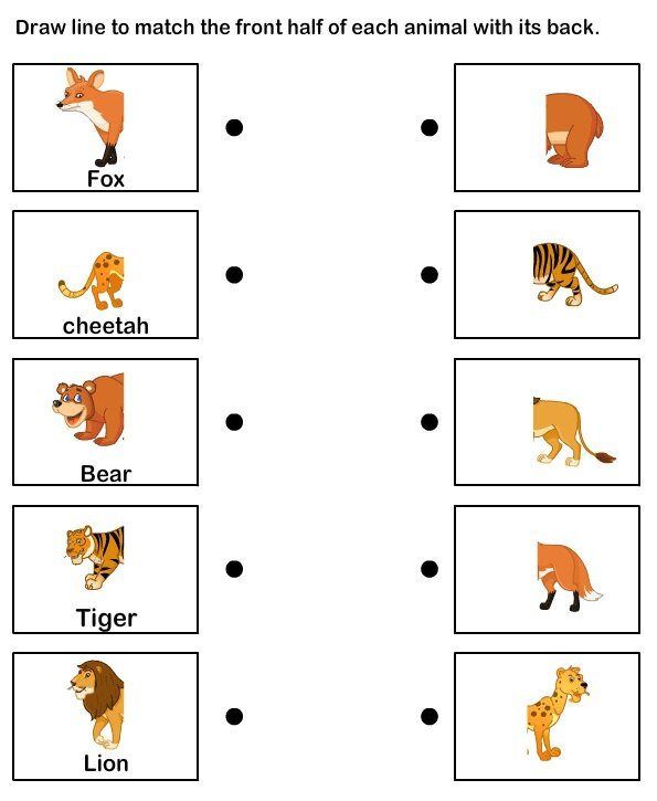 Играть соединять зверей. Дикие животные задания для дошкольников. Животные на английском для детей. Дикие животные английский для детей задания. Животные на английском задания.