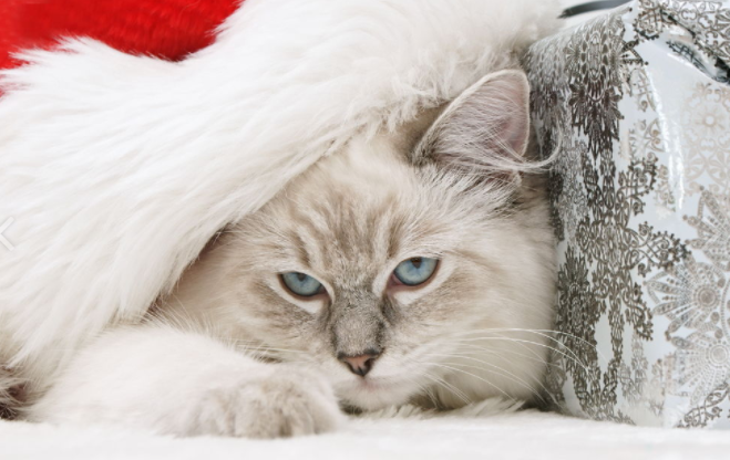 тест самопознание