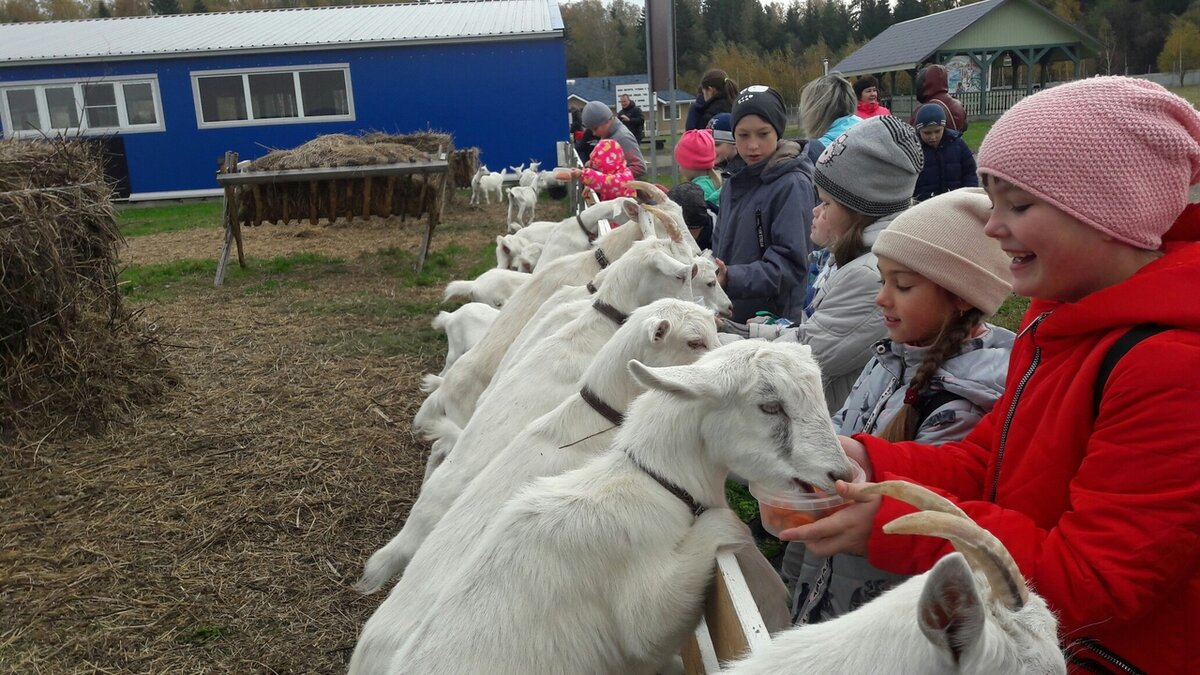 Ферма парк деревенька слободской