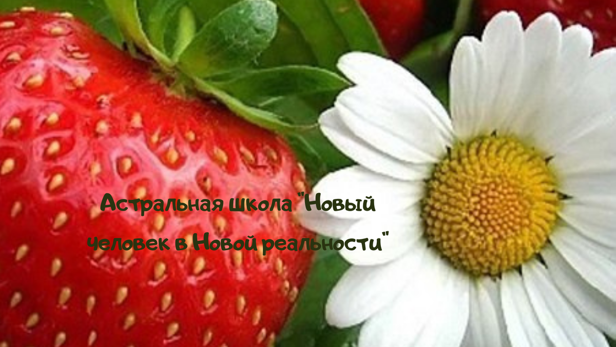                                          Как хорошо на свете жить!